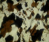 Ecru ~ Brown ~ Dark Blue Animal Fur Imitation Fabric Short Pile