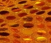 orange ~ orange HIGH QUALITY SEQUINS FABRIC 6mm