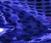 royal blue HIGH QUALITY SEQUINS FABRIC 6mm