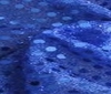 royal blue EXCLUSIV SMALL SEQUINS FABRIC 3mm