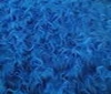 royal blue Teddy Long hair Fur Fabric Faux Fur