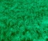 grass green Teddy Long hair Fur Fabric Faux Fur