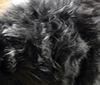 mouse grey Teddy Long hair Fur Fabric Faux Fur